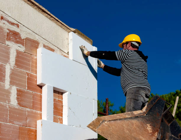 Best Insulation Installation Services in Friona, TX