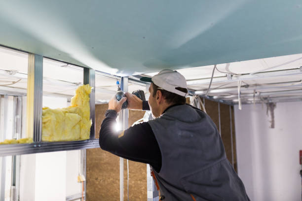 Best Types of Insulation in Friona, TX