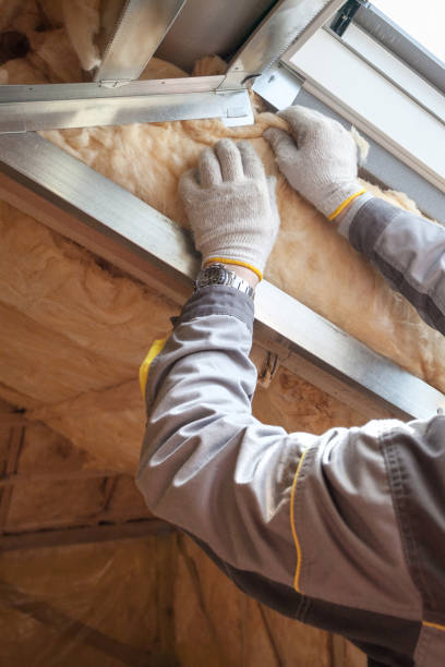 Best Insulation for Specific Applications in Friona, TX